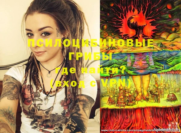 бошки Лабытнанги