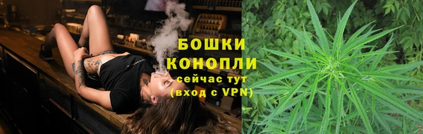 бошки Лабытнанги