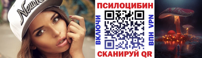 наркошоп  Малгобек  Галлюциногенные грибы Psilocybe 