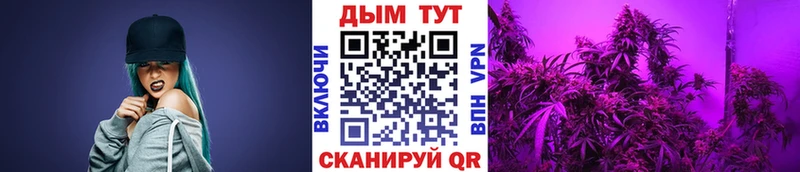 даркнет сайт ссылка на мегу ССЫЛКА МАРИХУАНА AK-47 Малгобек